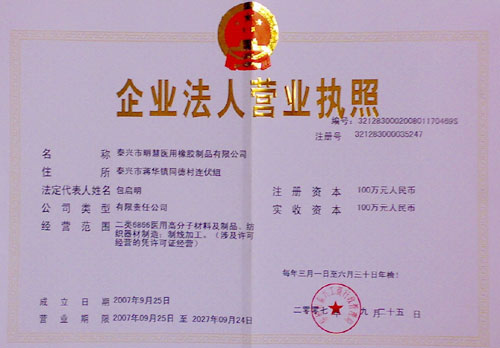 企业法人营业执照